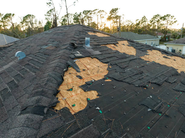 Best Storm Damage Roof Repair  in Porters Neck, NC